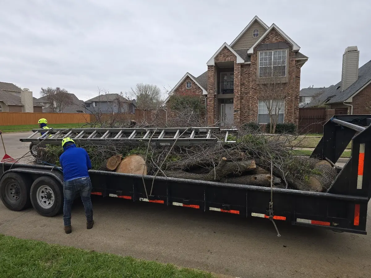 Expert Tree Pest Control with proper safety equipment in West Hamlin